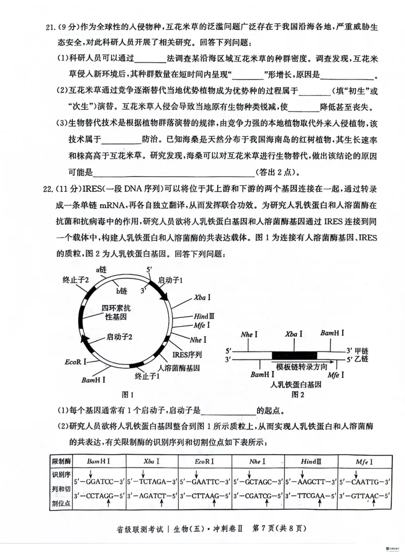 河北省2024届高三下学期省级联测考试（3月）生物(1)_2024年3月_013月合集_2024届河北省高三下学期省级联测考试（3月）