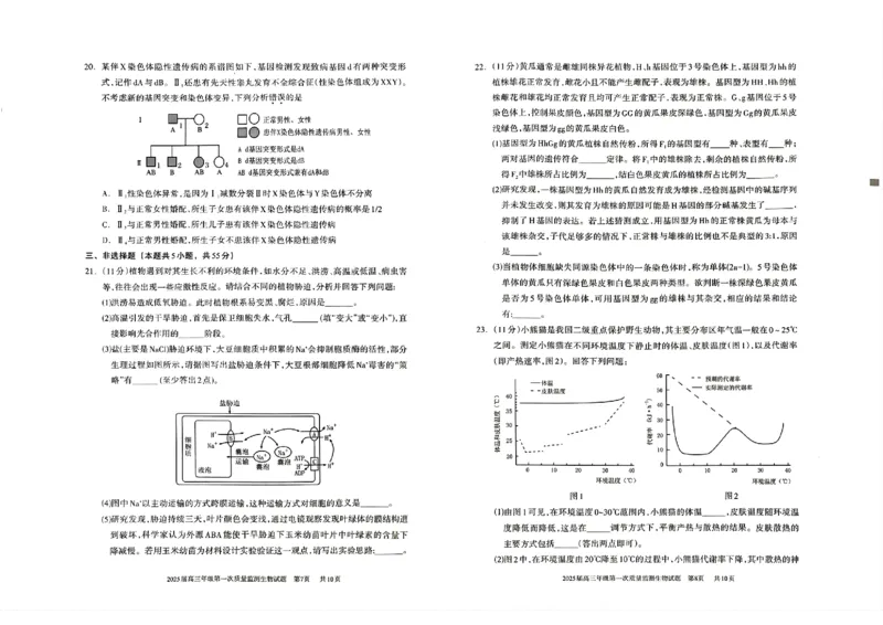 2025届内蒙古呼和浩特市高三上学期第一次质量监测生物+答案_2024-2025高三（6-6月题库）_2024年09月试卷_09012025届内蒙古呼和浩特市高三上学期第一次质量监测