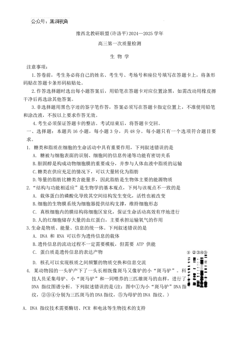 2025届河南省豫西北教研联盟（许洛平）高三上学期第一次质量检测（一模）生物试题（含答案）_2024-2025高三（6-6月题库）_2024年11月试卷