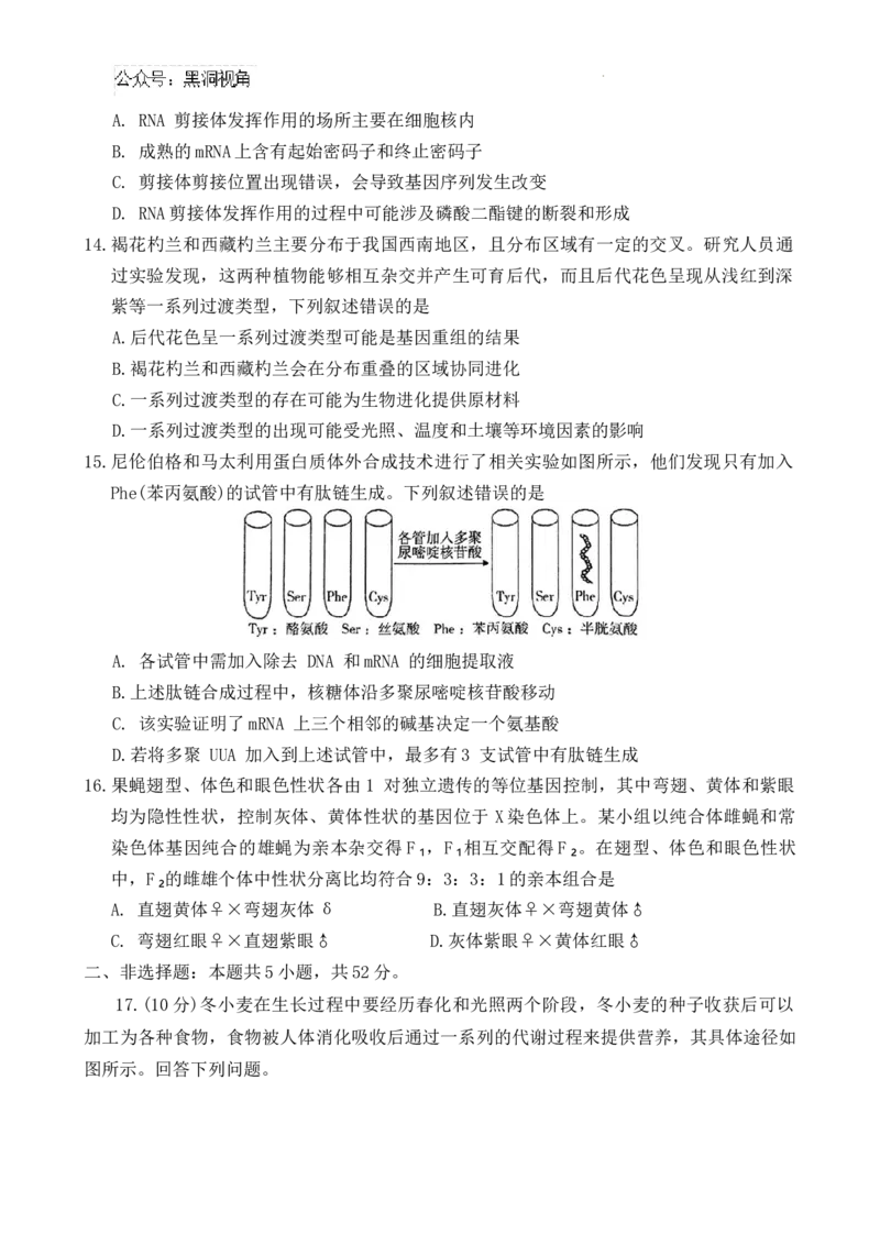 2025届河南省豫西北教研联盟（许洛平）高三上学期第一次质量检测（一模）生物试题（含答案）_2024-2025高三（6-6月题库）_2024年11月试卷