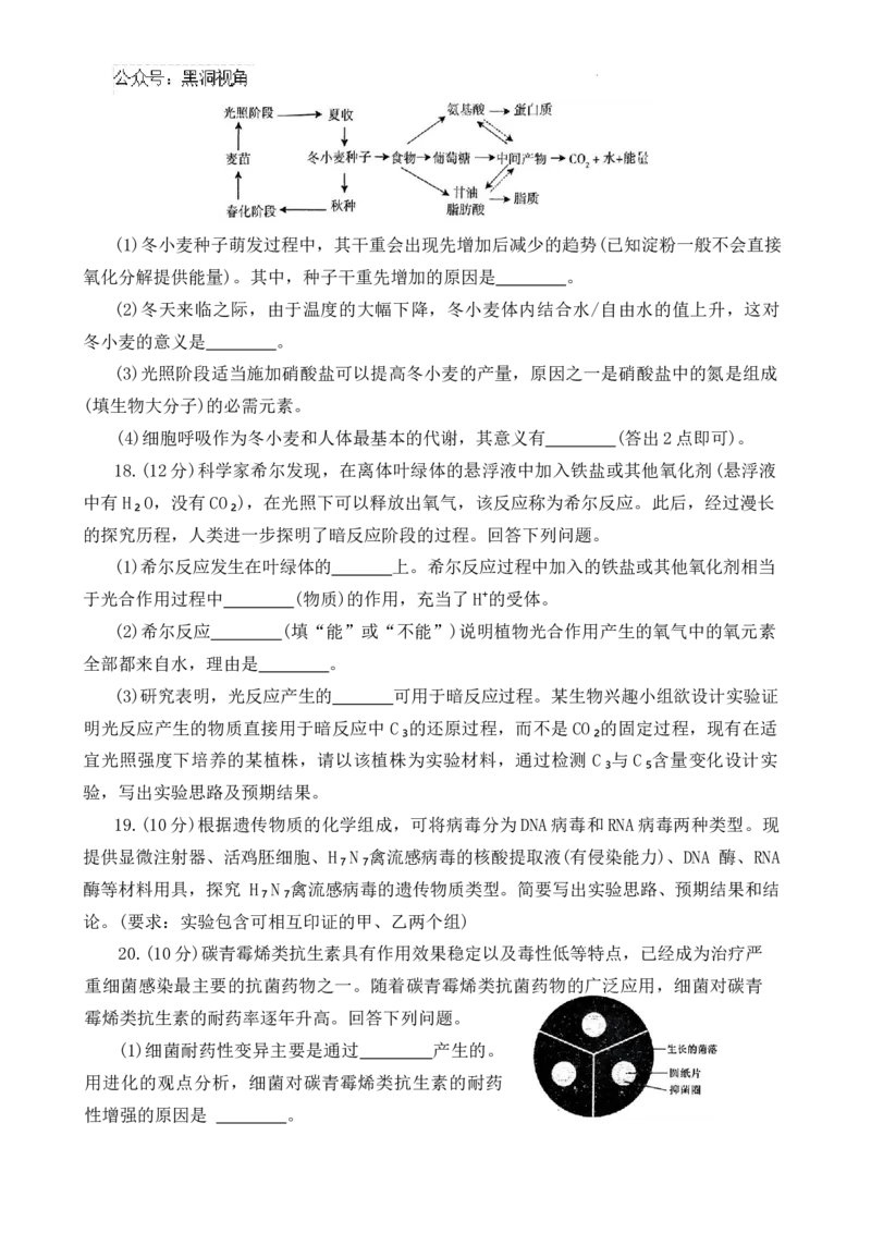 2025届河南省豫西北教研联盟（许洛平）高三上学期第一次质量检测（一模）生物试题（含答案）_2024-2025高三（6-6月题库）_2024年11月试卷