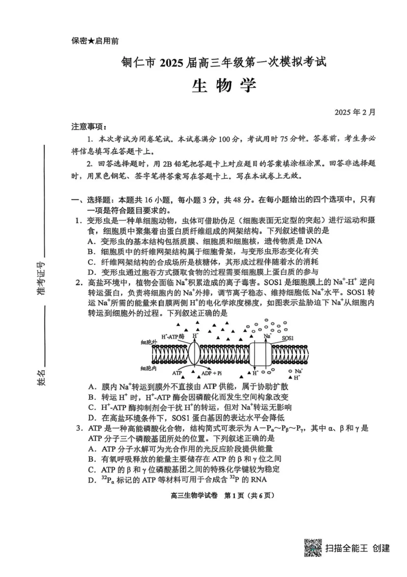 2025届贵州省贵阳市高三下学期适应性考试（一）生物试题+答案_2024-2025高三（6-6月题库）_2025年02月试卷_0215贵州省贵阳市2025年高三年级适应性考试（一）