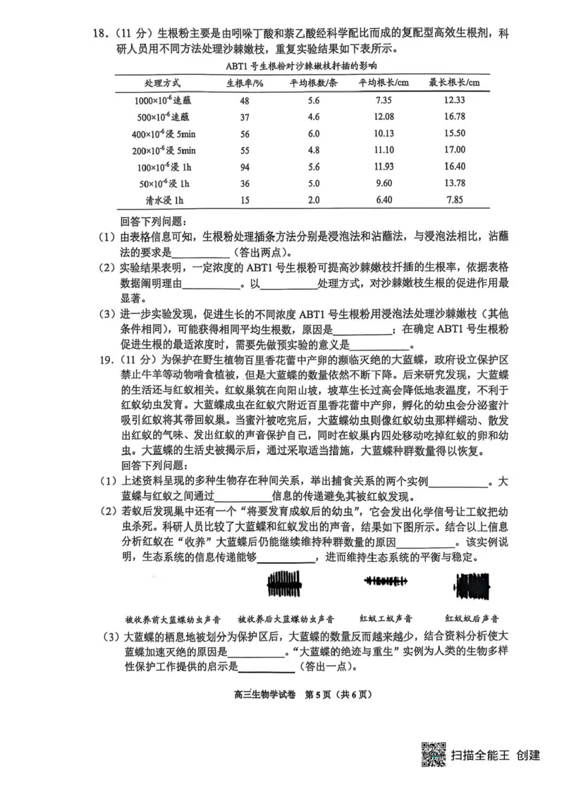 2025届贵州省贵阳市高三下学期适应性考试（一）生物试题+答案_2024-2025高三（6-6月题库）_2025年02月试卷_0215贵州省贵阳市2025年高三年级适应性考试（一）