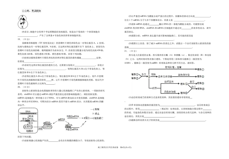 2025届高三第四次月考生物试卷_2024-2025高三（6-6月题库）_2024年12月试卷_1205宁夏银川一中2025届高三上学期第四次月考_宁夏银川一中2025届高三上学期第四次月考生物