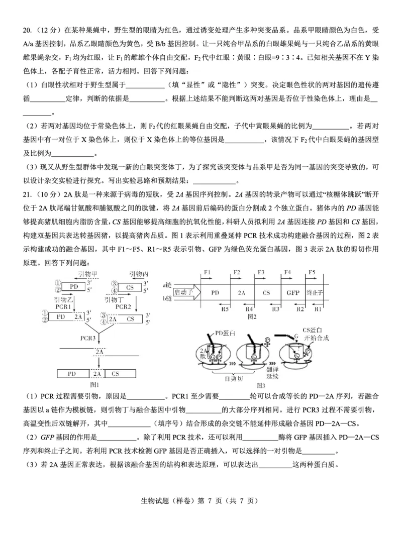 2025届高考仿真模拟卷生物（样卷）_2024-2025高三（6-6月题库）_2024年12月试卷_1229名校教研联盟2025届高考仿真模拟卷（样卷）