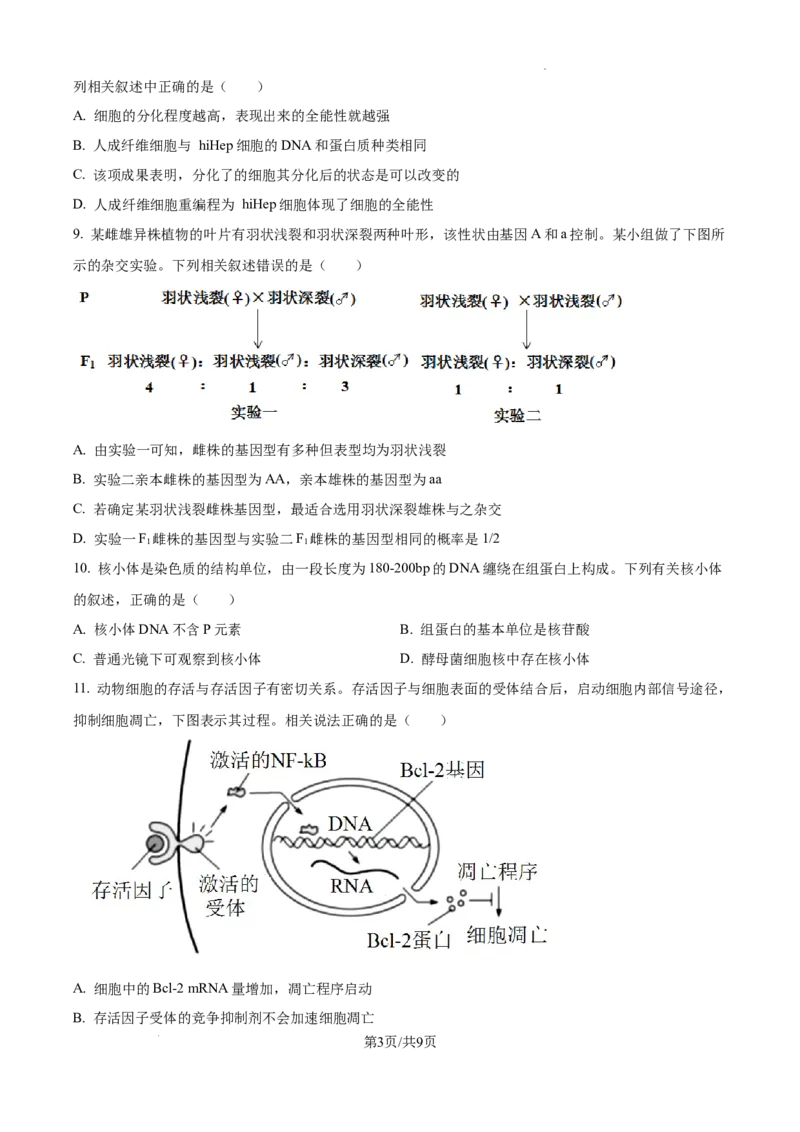 2025届广东省东莞外国语高三10月考-生物试卷_2024-2025高三（6-6月题库）_2024年10月试卷_1021广东省东莞市东莞外国语学校2025届高三上学期10月月考
