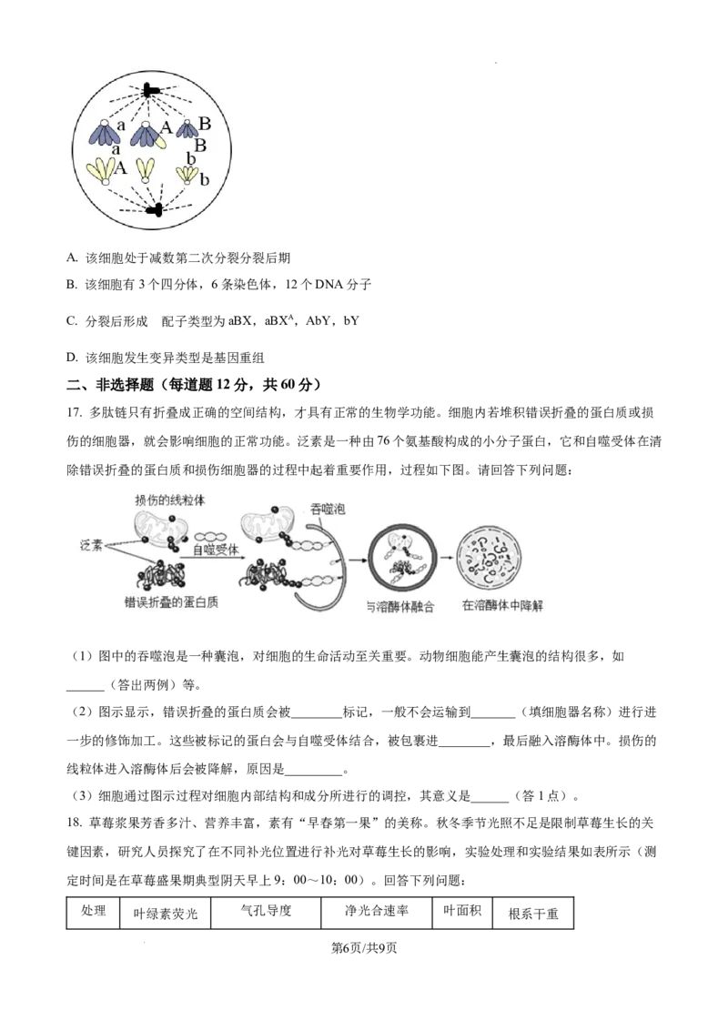 2025届广东省东莞外国语高三10月考-生物试卷_2024-2025高三（6-6月题库）_2024年10月试卷_1021广东省东莞市东莞外国语学校2025届高三上学期10月月考