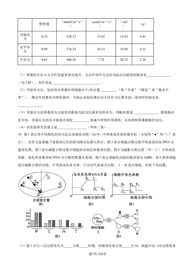 2025届广东省东莞外国语高三10月考-生物试卷_2024-2025高三（6-6月题库）_2024年10月试卷_1021广东省东莞市东莞外国语学校2025届高三上学期10月月考