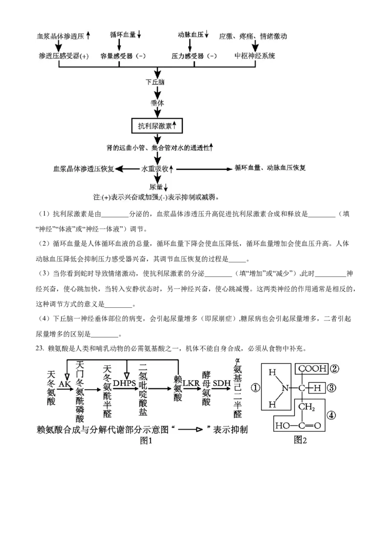 浙江省9+1联盟2024届高三下学期3月联考生物试题（原卷版）(1)_2024年4月_024月合集_2024届浙江省9+1联盟高三下学期3月模拟预测