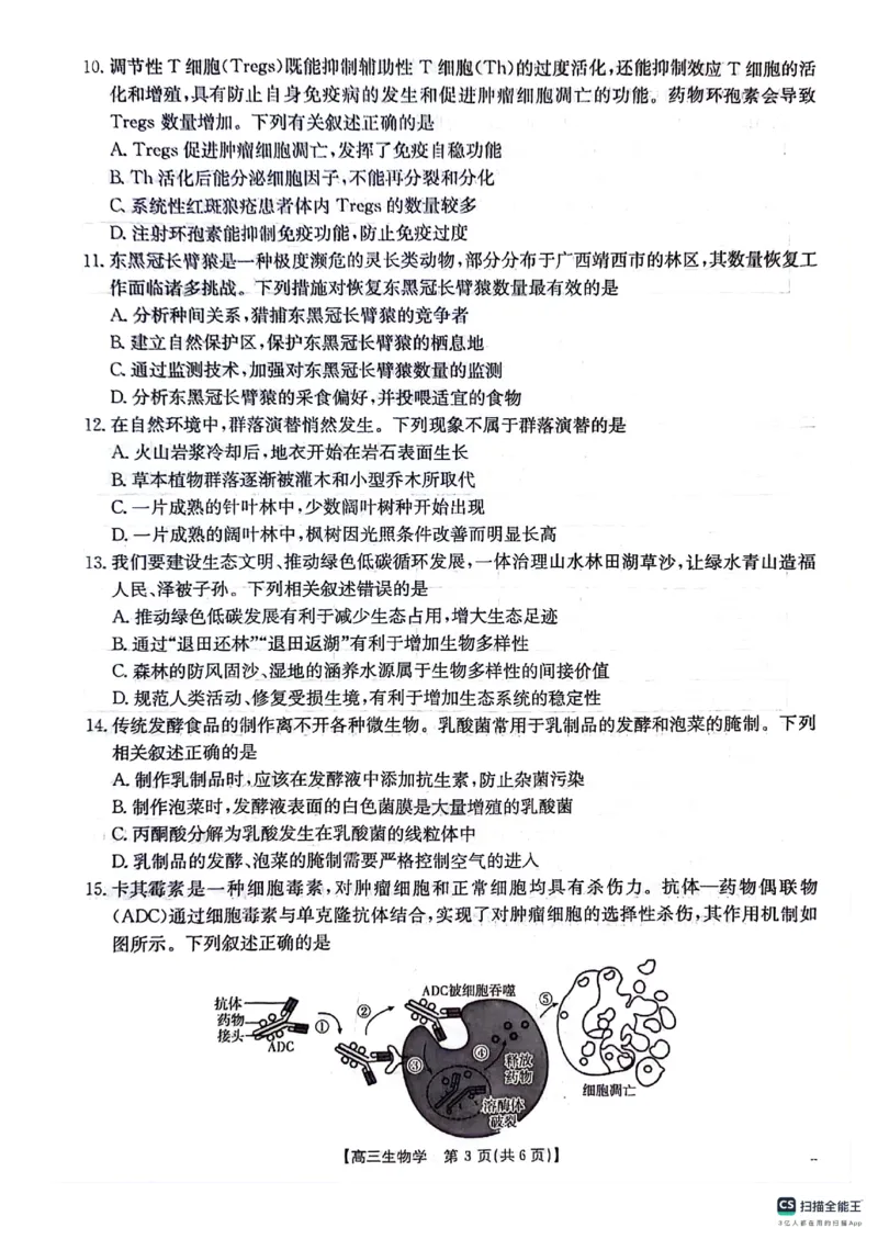 2025届贵州省多校高三10月联考生物试题_2024-2025高三（6-6月题库）_2024年10月试卷_1027贵州省金太阳2024-2025学年高三上学期10月联考_贵州省金太阳2024-2025学年高三上学期10月联考生物