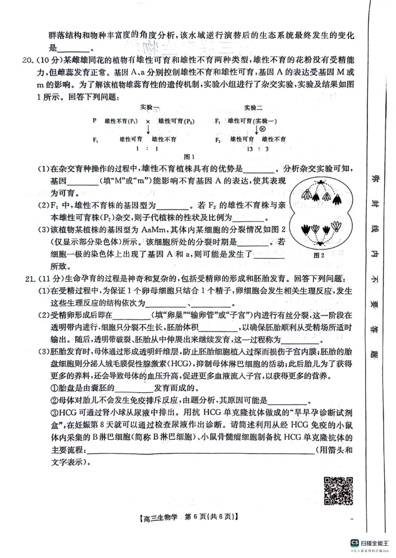 2025届贵州省多校高三10月联考生物试题_2024-2025高三（6-6月题库）_2024年10月试卷_1027贵州省金太阳2024-2025学年高三上学期10月联考_贵州省金太阳2024-2025学年高三上学期10月联考生物