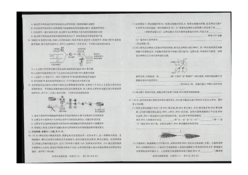 海南省琼中黎族苗族自治县琼中中学2023-2024学年高三下学期全真模拟（开学考试）生物试题_2024年3月_013月合集_2024届海南省天一高三高考全真模拟卷（六）