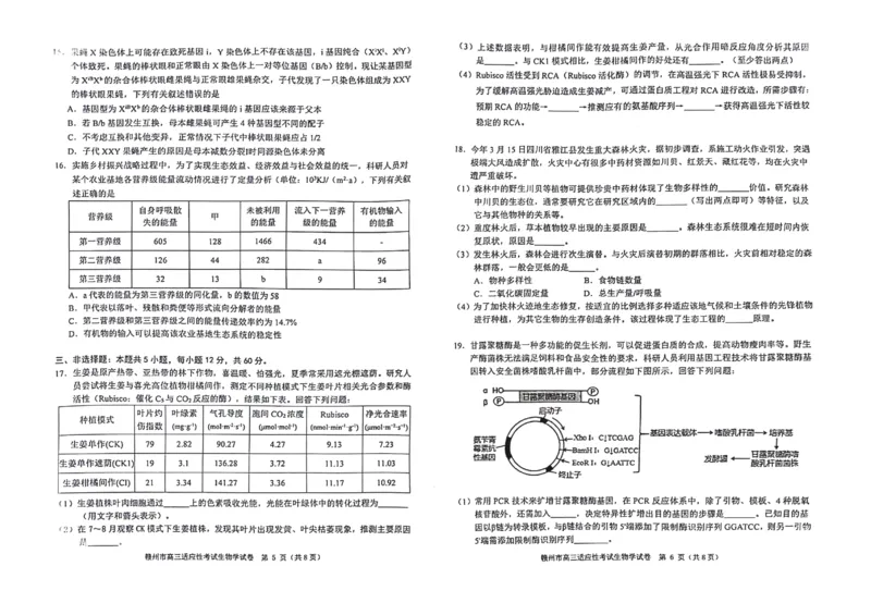江西省赣州市2023-2024学年高三5月二模考试卷高三生物_2024年5月_01按日期_10号_2024届江西省赣州市高三5月二模考试_江西省赣州市2023-2024学年高三5月二模考试卷高三生物（含答案）