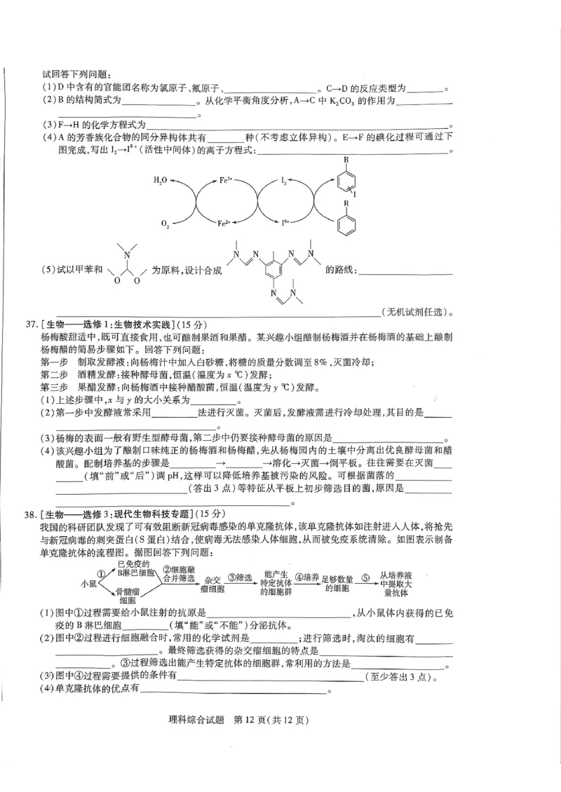 河南省商丘市第一高级中学、临颍县第一高级中学2校2022-2023学年高三下学期3月月考理综试题(1)_2024年2月_022月合集_2023届河南天一大联考高三阶段性测试(五)全科