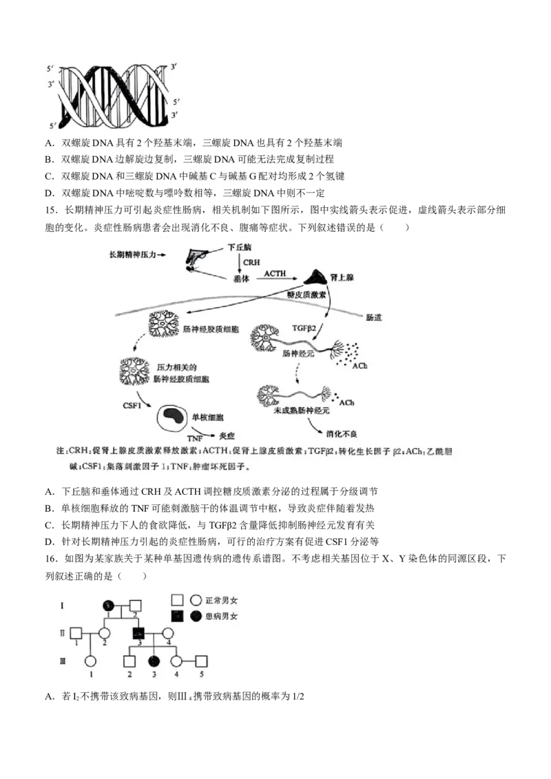 河北省金科大联考2024届高三下学期3月质量检测生物试题(1)_2024年3月_013月合集_2024届河北省金科大联考高三下学期3月质量检测