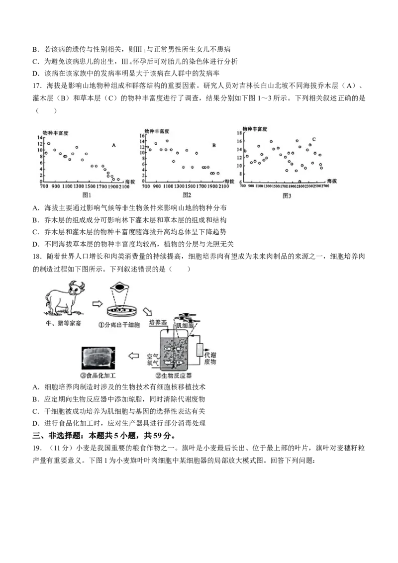 河北省金科大联考2024届高三下学期3月质量检测生物试题(1)_2024年3月_013月合集_2024届河北省金科大联考高三下学期3月质量检测