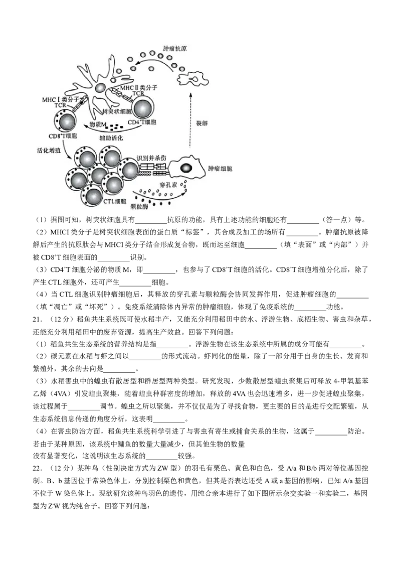 河北省金科大联考2024届高三下学期3月质量检测生物试题(1)_2024年3月_013月合集_2024届河北省金科大联考高三下学期3月质量检测