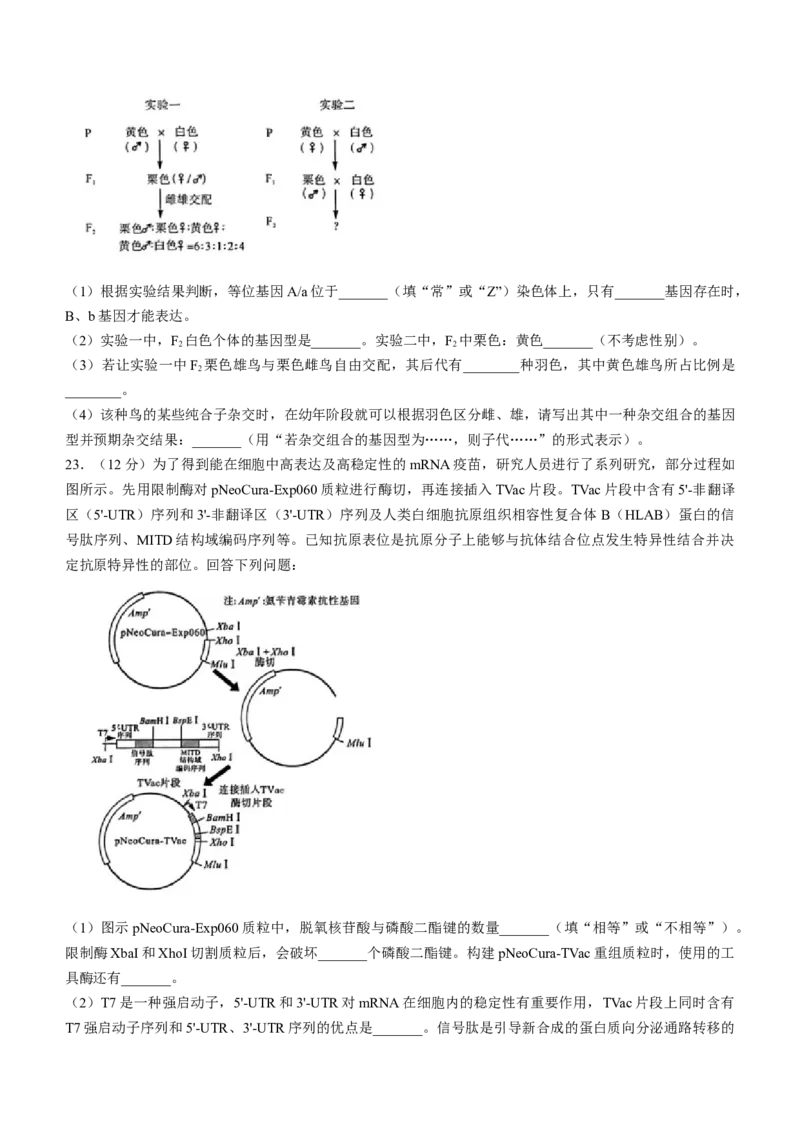 河北省金科大联考2024届高三下学期3月质量检测生物试题(1)_2024年3月_013月合集_2024届河北省金科大联考高三下学期3月质量检测
