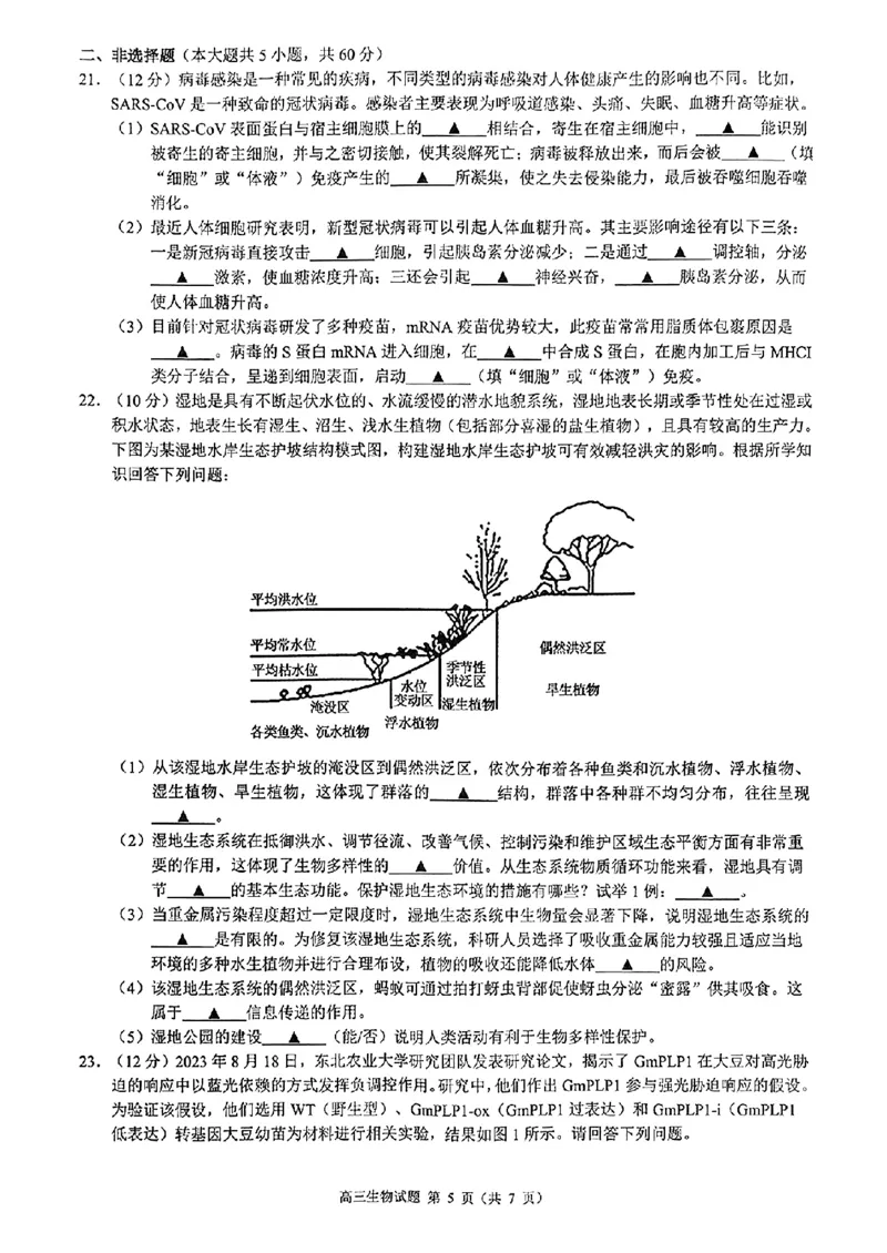 2025届浙江省&ldquo;江浙皖县中&rdquo;共同体高三10月联考-生物试题+答案_2024-2025高三（6-6月题库）_2024年10月试卷_1007江浙皖高中（县中）发展共同体2024-2025学年高三上学期10月联考