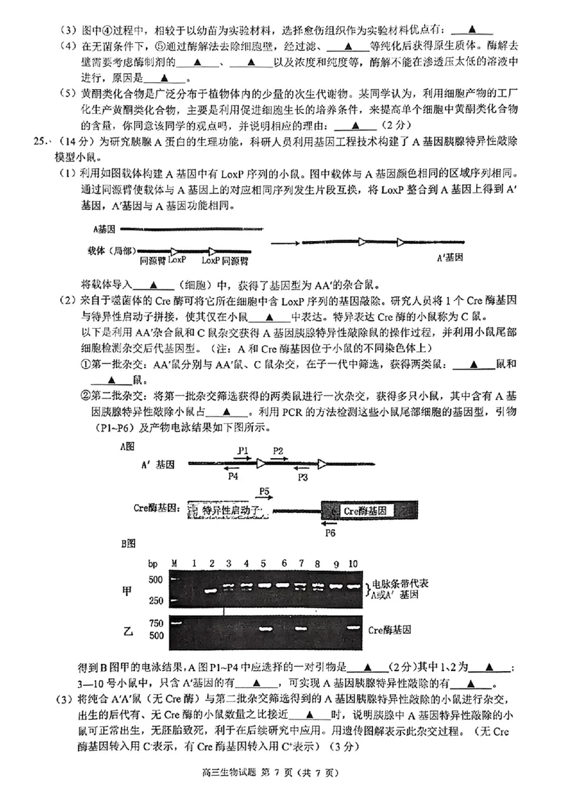 2025届浙江省&ldquo;江浙皖县中&rdquo;共同体高三10月联考-生物试题+答案_2024-2025高三（6-6月题库）_2024年10月试卷_1007江浙皖高中（县中）发展共同体2024-2025学年高三上学期10月联考