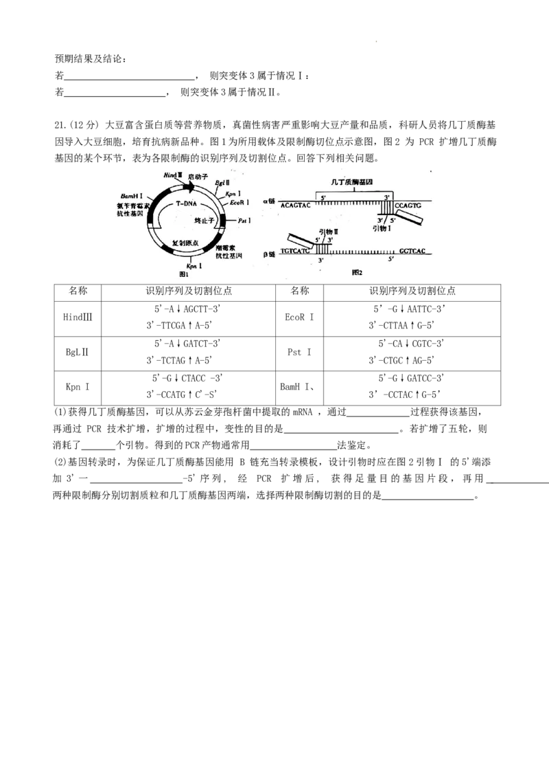 江西省新余市2024届高三上学期期末质量检测生物(1)_2024年2月_022月合集_2024届江西省新余市高三上学期期末质量检测