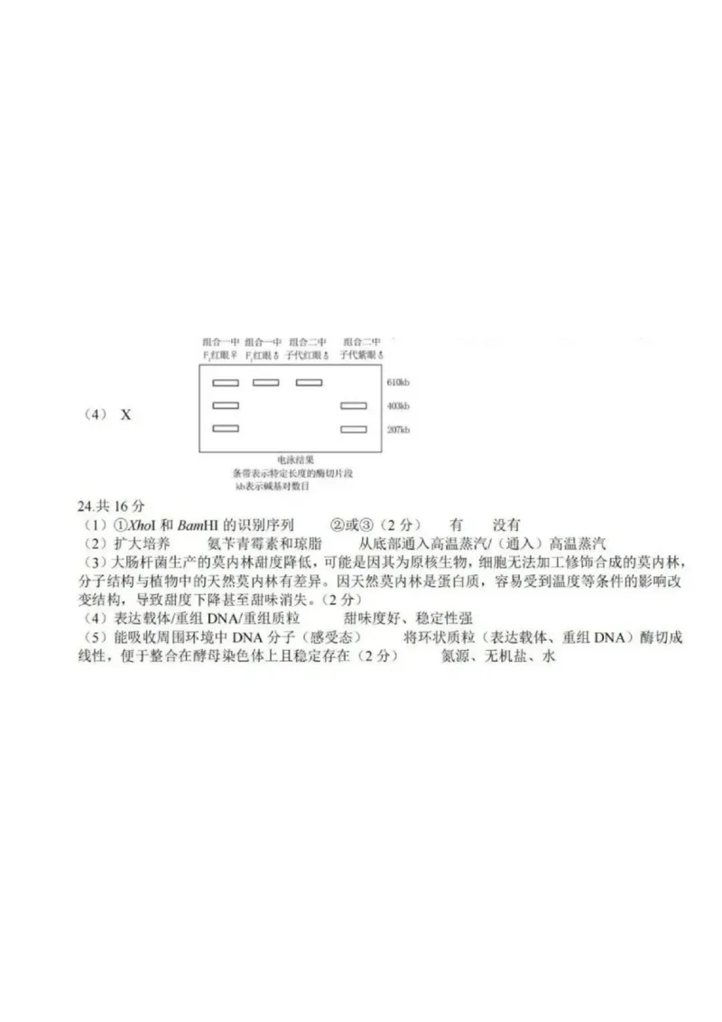 浙江省（杭州二中、绍兴一中、温州中学、金华一中、衢州二中）五校联考2024届高考模拟考试生物试卷+答案_2024年5月_01按日期_28号_2024届浙江省五校联盟高三下学期5月模拟预测
