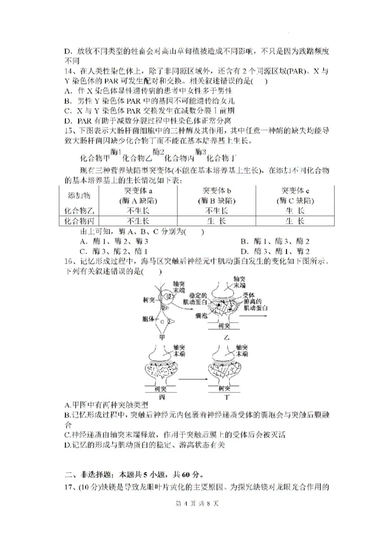 2025届广东省深圳外国语学校（集团）龙华高中部高三第一次月考生物试卷_2024-2025高三（6-6月题库）_2024年08月试卷