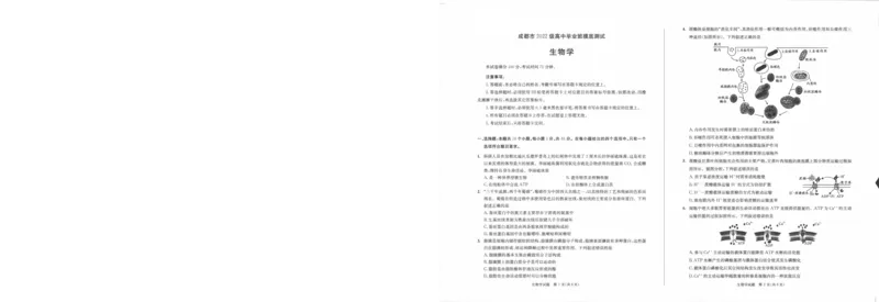 0001_2024-2025高三（6-6月题库）_2024年07月试卷_2407102025届四川成都高三零诊（成都市2022级高中毕业班摸底测试）_四川省成都市2023-2024学年高二下学期摸底测试生物试题