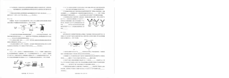 0001_2024-2025高三（6-6月题库）_2024年07月试卷_2407102025届四川成都高三零诊（成都市2022级高中毕业班摸底测试）_四川省成都市2023-2024学年高二下学期摸底测试生物试题