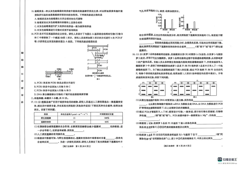 2025届陕西省安康市高三下学期第三次质量联考（三模）生物试卷（含答案）_2024-2025高三（6-6月题库）_2025年04月试卷_0428陕西省安康市2025届高三下学期第三次质量联考（全科）