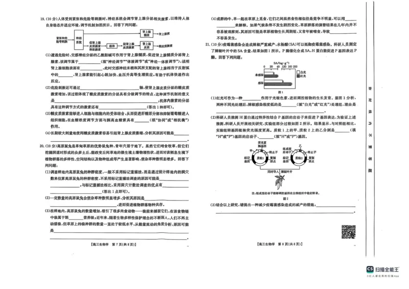 2025届陕西省安康市高三下学期第三次质量联考（三模）生物试卷（含答案）_2024-2025高三（6-6月题库）_2025年04月试卷_0428陕西省安康市2025届高三下学期第三次质量联考（全科）