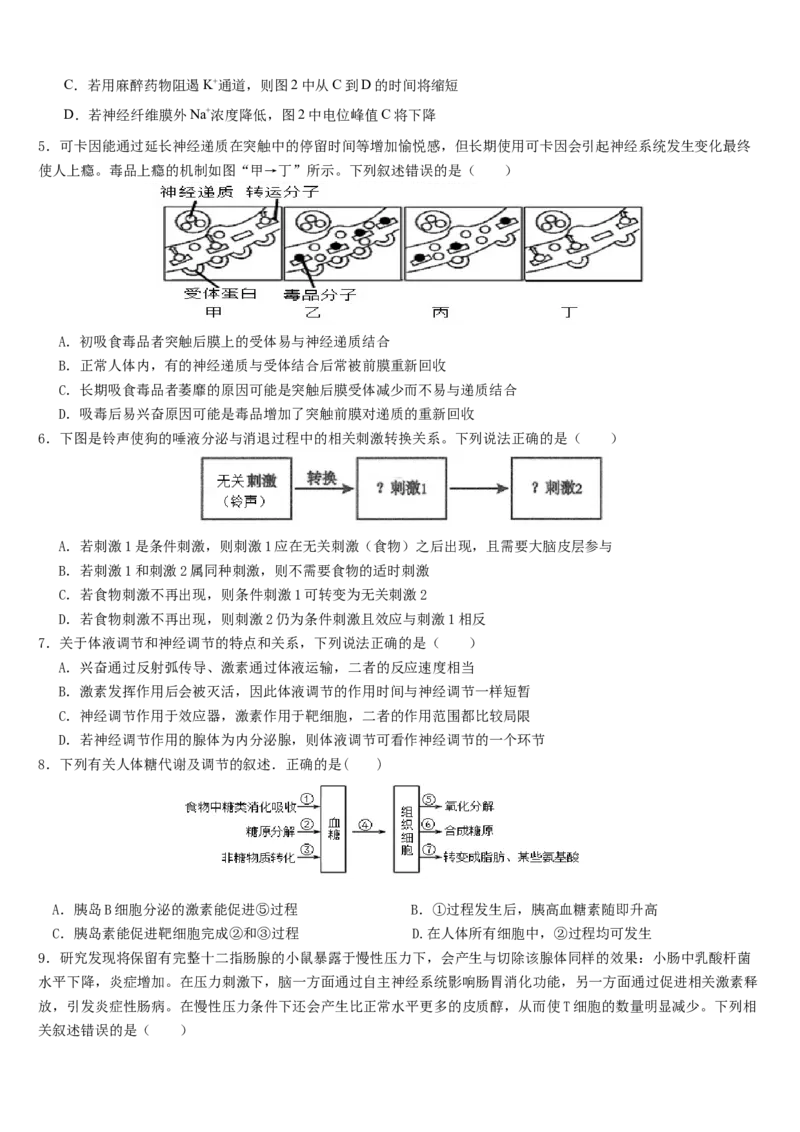 云南省文山市第一中学2025-2026学年高二上学期12月月考生物试题_2024-2025高二（7-7月题库）_2026年1月高二
