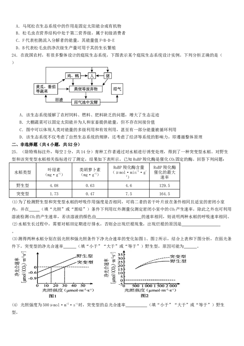 云南省文山市第一中学2025-2026学年高二上学期12月月考生物试题_2024-2025高二（7-7月题库）_2026年1月高二