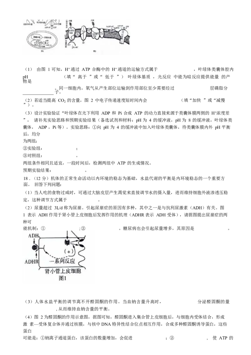 2025届新高三9月摸底大联考生物试卷+答案_2024-2025高三（6-6月题库）_2024年09月试卷_09232025届新高三9月摸底大联考（新课标卷）
