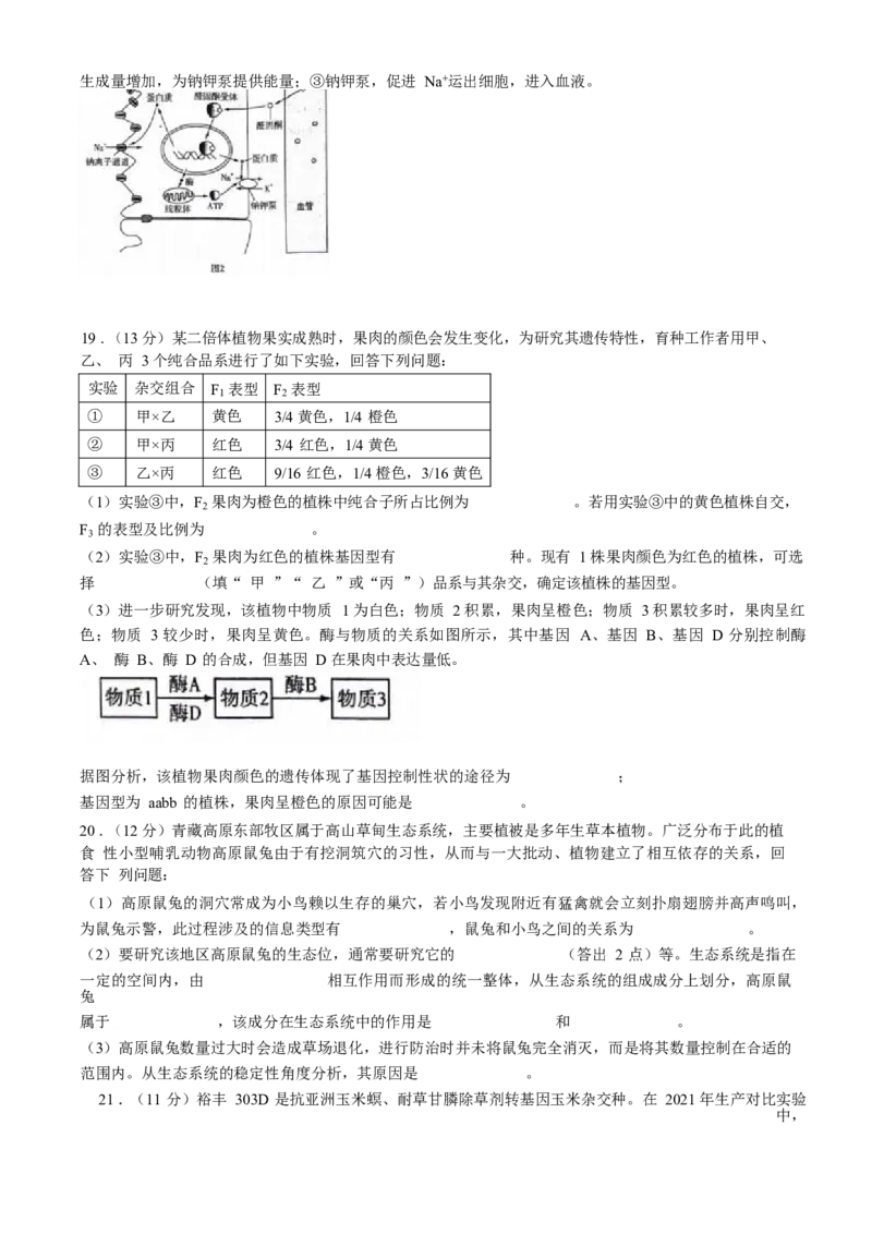 2025届新高三9月摸底大联考生物试卷+答案_2024-2025高三（6-6月题库）_2024年09月试卷_09232025届新高三9月摸底大联考（新课标卷）