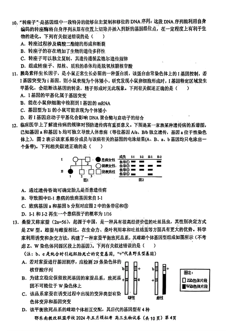 湖北省鄂东南省级示范联盟学校2024年高三5月第一次联考(一模）生物试题_2024年5月_01按日期_11号_2024届湖北省鄂东南省级示范联盟学校高三下学期5月第一次联考(一模
