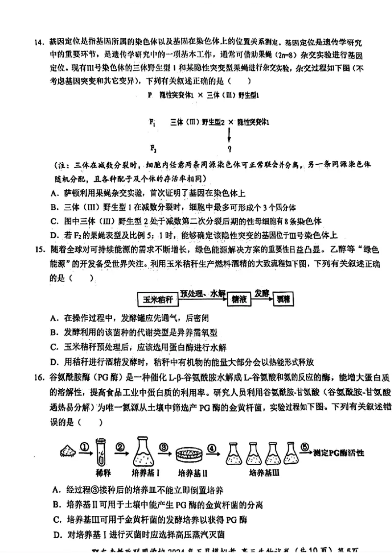 湖北省鄂东南省级示范联盟学校2024年高三5月第一次联考(一模）生物试题_2024年5月_01按日期_11号_2024届湖北省鄂东南省级示范联盟学校高三下学期5月第一次联考(一模