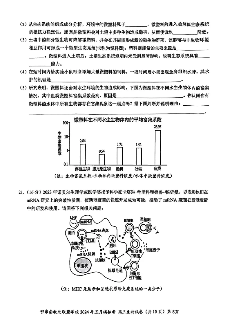 湖北省鄂东南省级示范联盟学校2024年高三5月第一次联考(一模）生物试题_2024年5月_01按日期_11号_2024届湖北省鄂东南省级示范联盟学校高三下学期5月第一次联考(一模