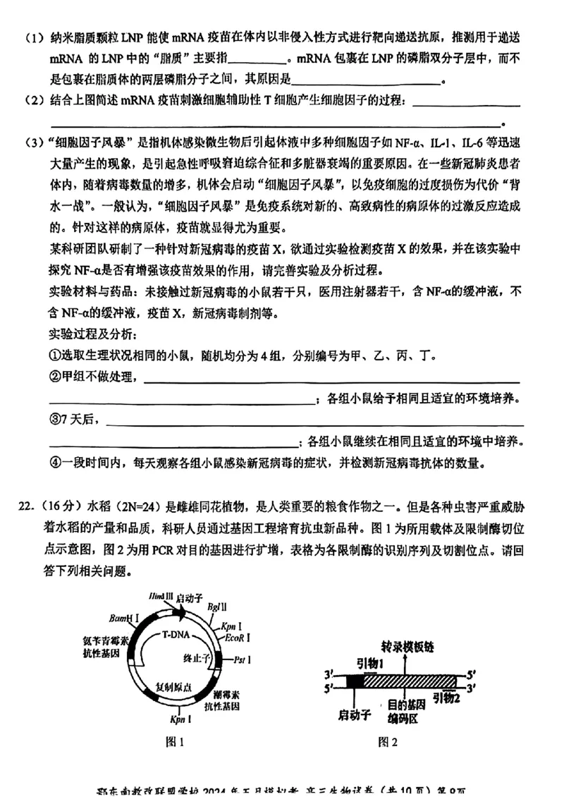 湖北省鄂东南省级示范联盟学校2024年高三5月第一次联考(一模）生物试题_2024年5月_01按日期_11号_2024届湖北省鄂东南省级示范联盟学校高三下学期5月第一次联考(一模