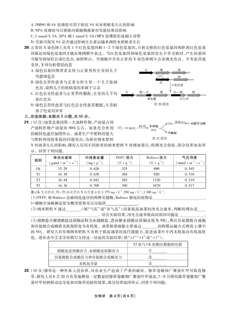 东北三省精准教学联盟2025届高三4月联考生物试卷+答案_2024-2026高三（6-6月题库）_2025年04月试卷_0425东北三省精准教学联盟2025届高三4月联考（理想树）