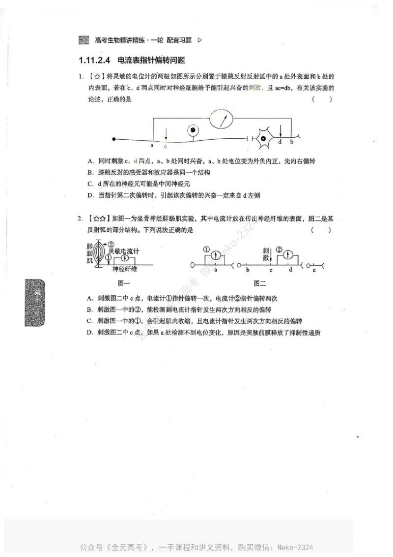 2024万猛生物一轮习题@_2024-2025高三（6-6月题库）_2024年09月试卷_万猛