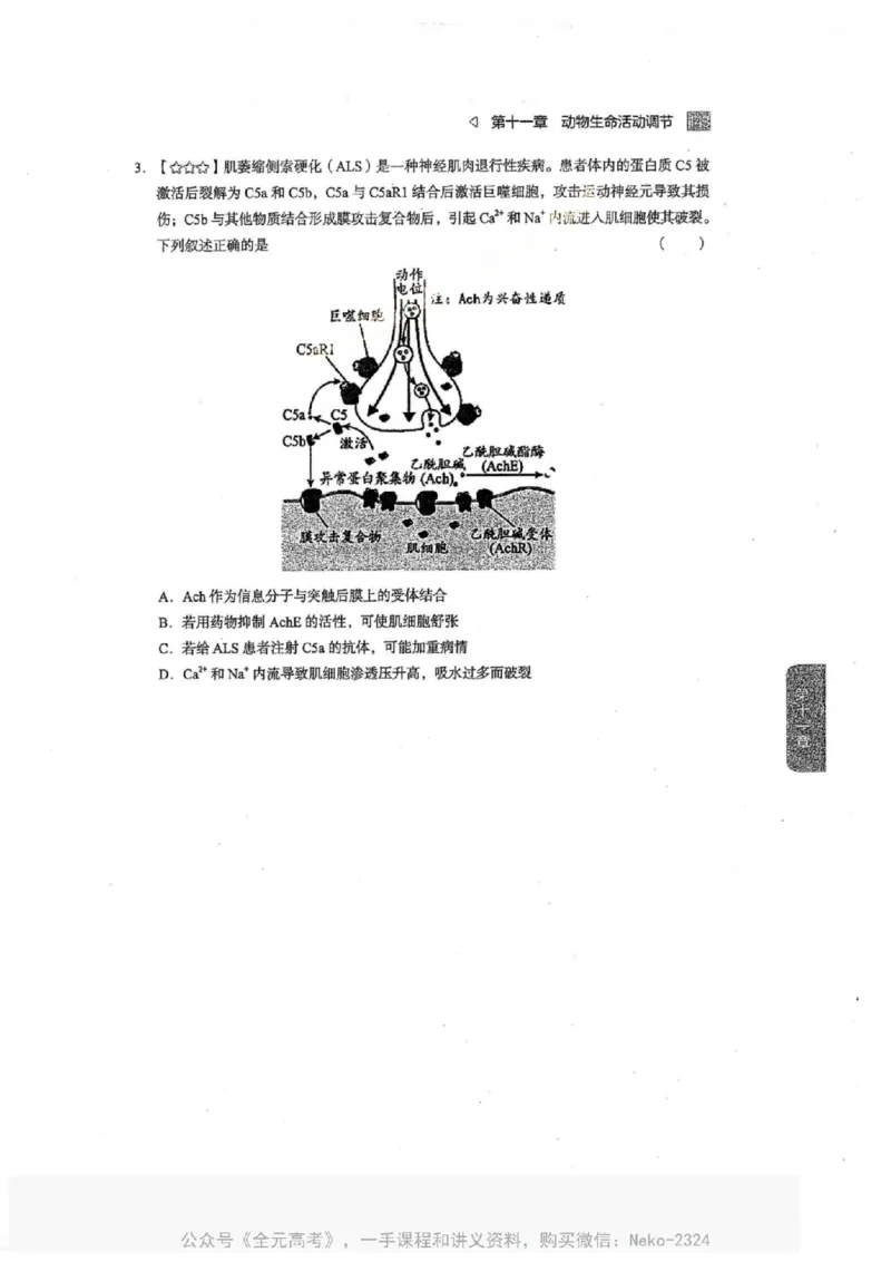 2024万猛生物一轮习题@_2024-2025高三（6-6月题库）_2024年09月试卷_万猛