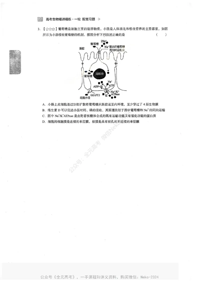 2024万猛生物一轮习题@_2024-2025高三（6-6月题库）_2024年09月试卷_万猛