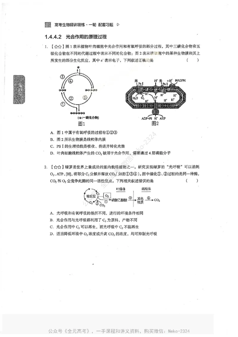 2024万猛生物一轮习题@_2024-2025高三（6-6月题库）_2024年09月试卷_万猛