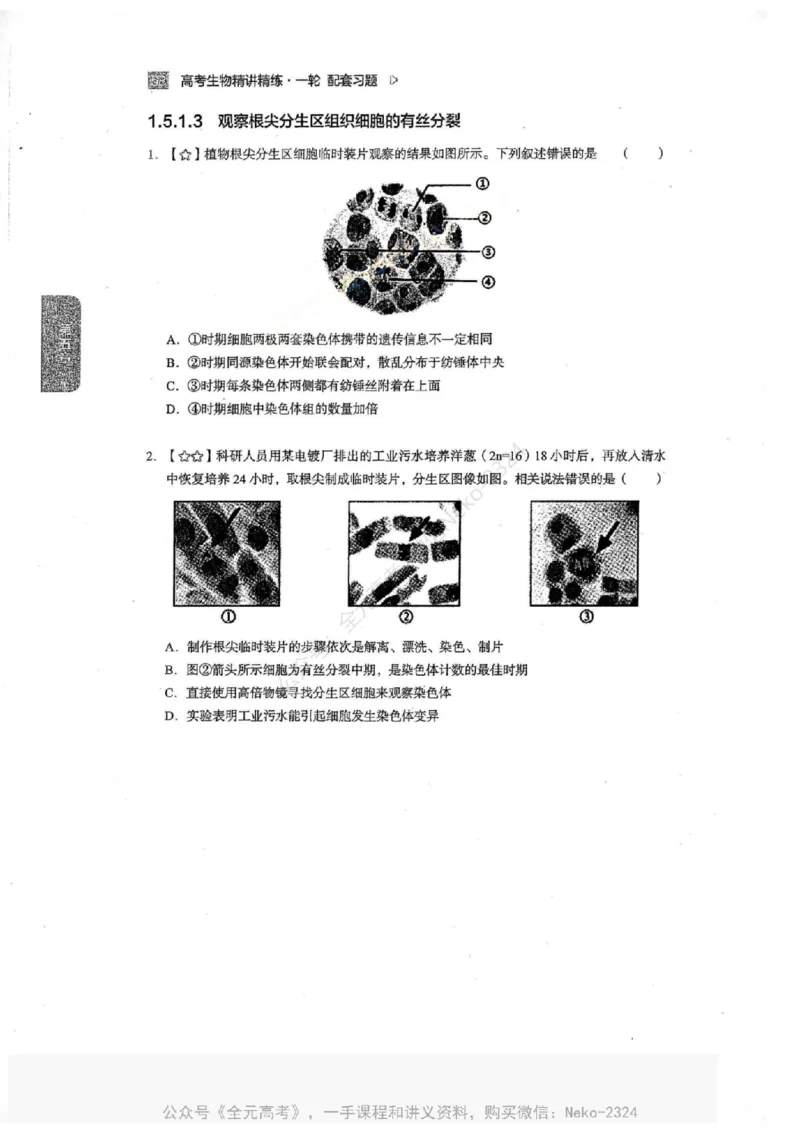 2024万猛生物一轮习题@_2024-2025高三（6-6月题库）_2024年09月试卷_万猛