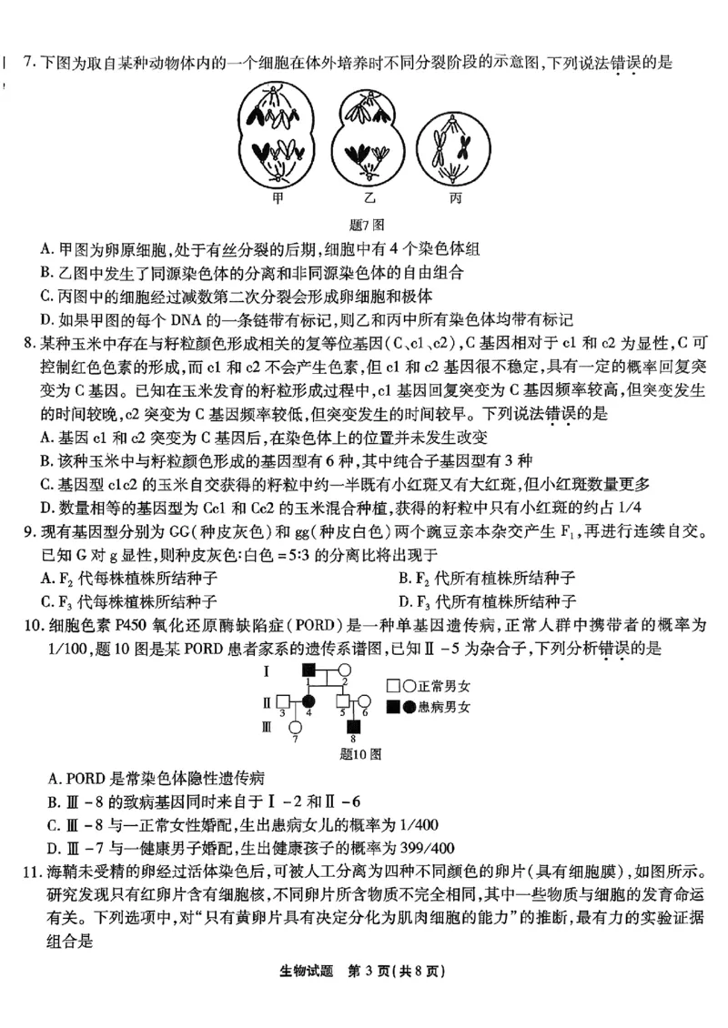 南开第二次联考生物试卷_2024-2025高三（6-6月题库）_2024年10月试卷_1011重庆市高（南开中学）2025届高三第二次质量检测_重庆市高（南开中学）2025届高三第二次质量检测生物