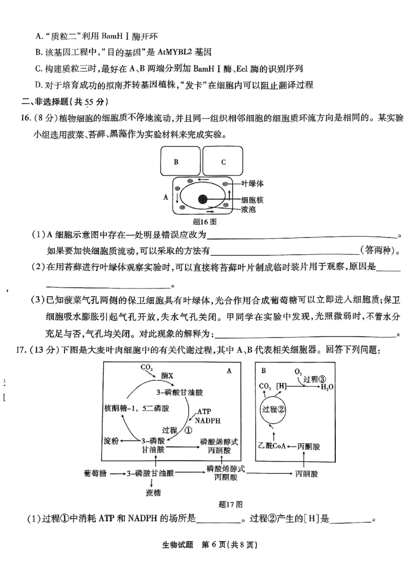 南开第二次联考生物试卷_2024-2025高三（6-6月题库）_2024年10月试卷_1011重庆市高（南开中学）2025届高三第二次质量检测_重庆市高（南开中学）2025届高三第二次质量检测生物