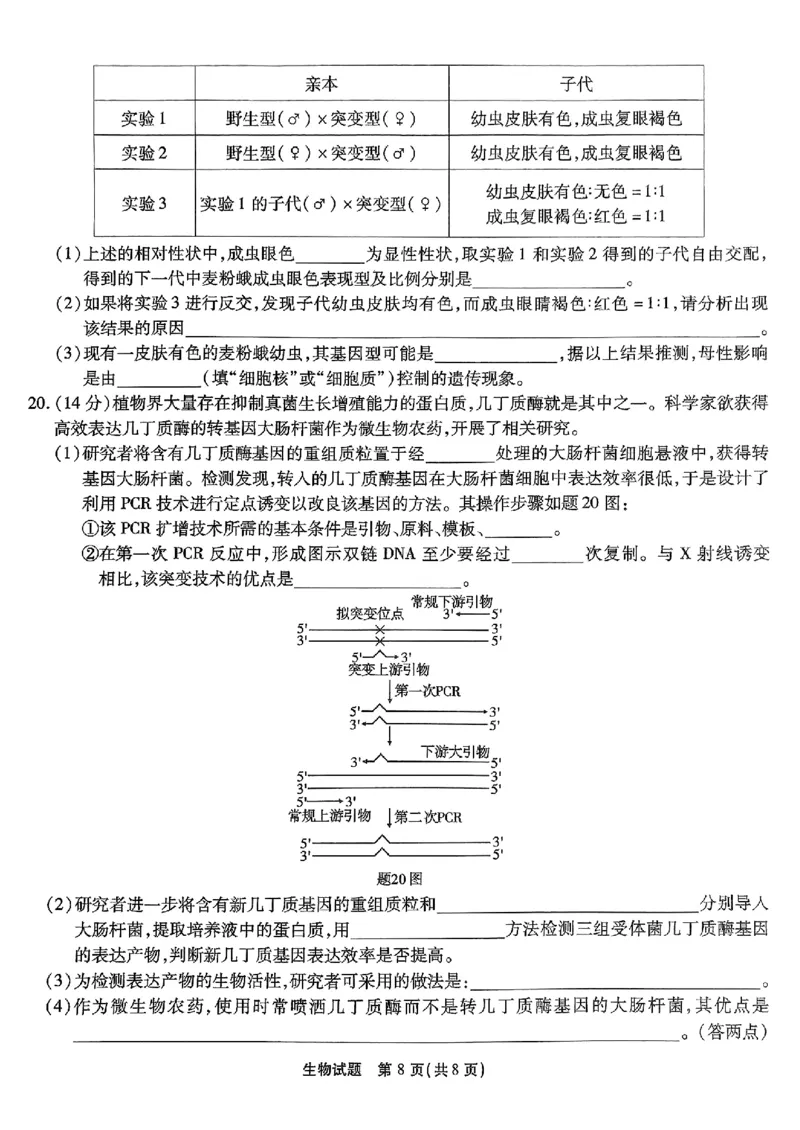 南开第二次联考生物试卷_2024-2025高三（6-6月题库）_2024年10月试卷_1011重庆市高（南开中学）2025届高三第二次质量检测_重庆市高（南开中学）2025届高三第二次质量检测生物