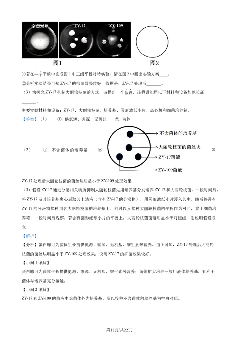 精品解析：北京市房山区2023~2024学年度高三上学期期末检测生物试题（解析版）_2024年2月_01每日更新_01号_2024届北京市房山区高三上学期期末考试