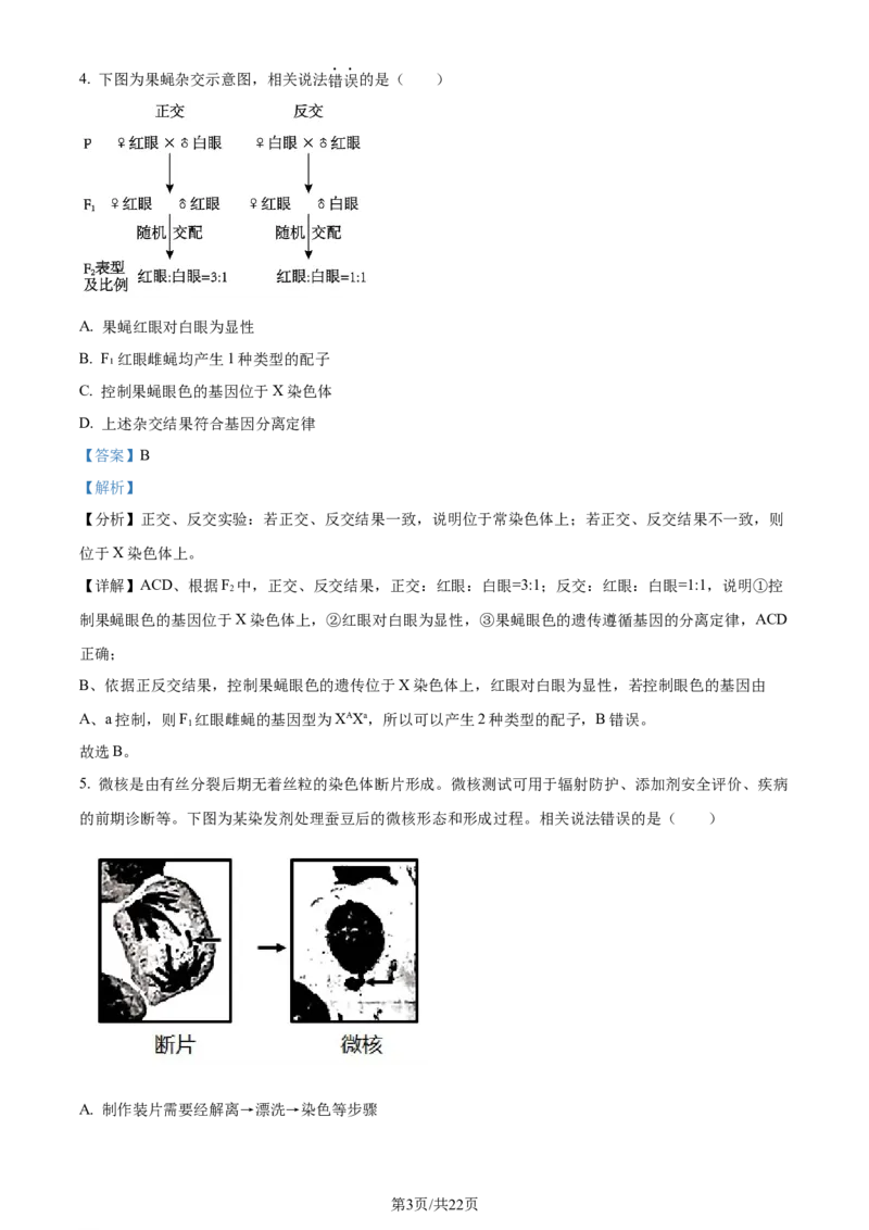精品解析：北京市房山区2023~2024学年度高三上学期期末检测生物试题（解析版）_2024年2月_01每日更新_01号_2024届北京市房山区高三上学期期末考试